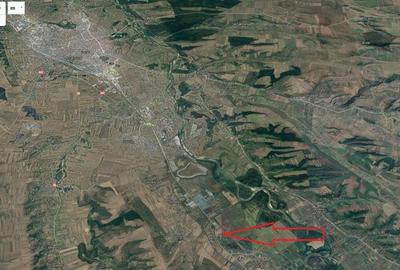 Teren extravilan, Cotofenii din Fata, jud Dolj -id 6954-0... - 8