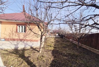 Casă cu 5 camere decomandat cu Teren 1600 Mp în Dobreni - 9