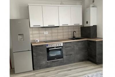 Apartament cu 2 camere decomandat în Parcul Carol - 3