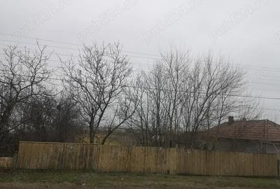 Teren de 2570 mp, în Prundeni - 5