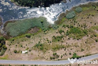 Teren de 2500 mp, în Naipu - 7