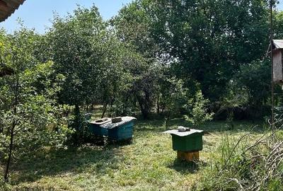 Casă de vânzare, teren 1400mp | Măldăeni, Teleorman - 4