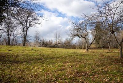 Teren intravilan, cu PUZ, Bran Tohanita,  SE ACCEPTĂ ȘI SCHIMB - 22