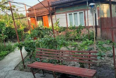 Casa Parter+Pod 90 mp+anexa 60 mp + atelier + teren intravilan 1600 mp - 4