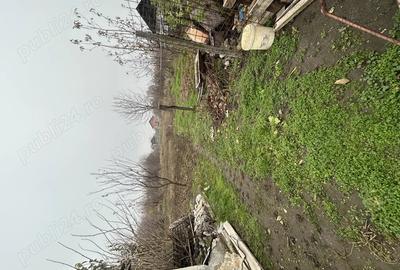 Casa de vanzare Teremia Mare - 3