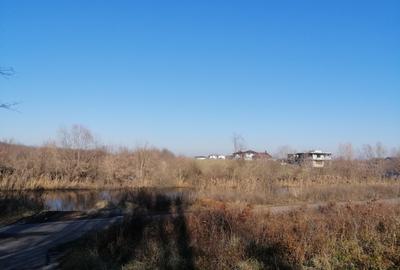 Teren Construcții intravilan de 43136 mp, în Siliștea Snagovului - 3