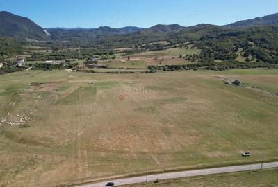 Teren extravilan Rasnov - 3