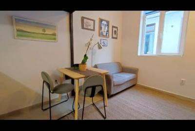 Apartament tip studio,in zona ultracentrala - 3