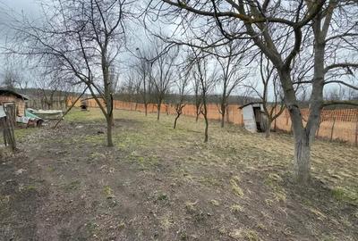 Teren de 1064 mp, în Bârlea - 3