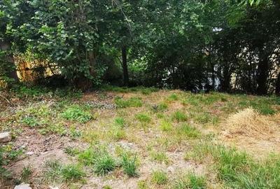 Teren Moroasa 1000 mp intravilan negociabil - 5