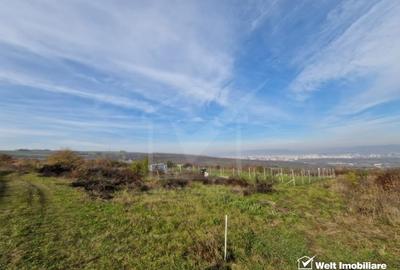 Teren agricol intravilan de 700 mp, în Sopor - 10
