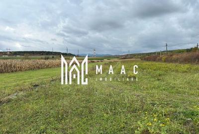 Teren extravilan | 3700 mp | Deschidere la DN | Intrare Vestem - Sibiu Teren extravilan | 3700 mp | Deschidere la DN | Intrare Vestem - Sibiu - 2