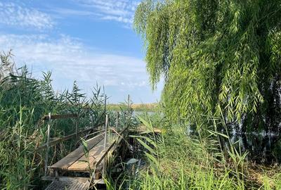 Casă cu 2 camere cu Teren 1134 Mp în Central - 4