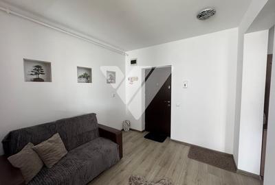 Apartament cu 2 camere decomandat, mobilat în Turnișor - 3