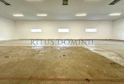 Spațiu industrial, de 245 mp, în Calea Clujului - 2