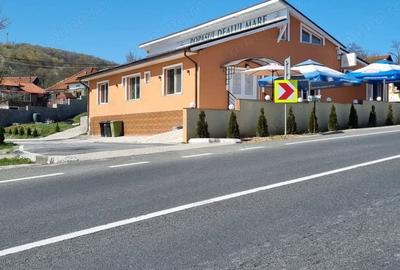 Spațiu comercial, de 320 mp, în Dealu Mare - 11