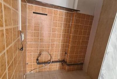 Spatiu comercial zona 15 Noiembrie Treatrul Dramatic - 5