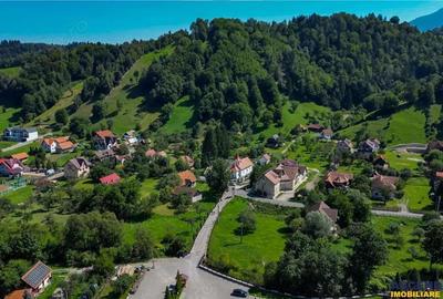 FILM! Casa traditionala pe domeniu de 4.300mp teren, Bran - Simon, Brasov - 4