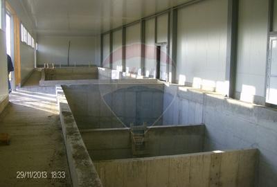 Proprietate industriala de vanzare - 102.420 mp - loc. Zauan jud.Salaj - 6