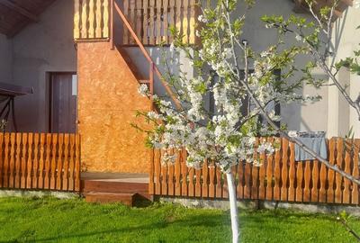 Casă cu 3 camere cu Teren 380 Mp în Berceni - 5