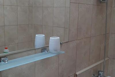 Garsoniera spa?ioasa in bloc mixt reabilitat termic ?i renovat, parc Sebastian - 7