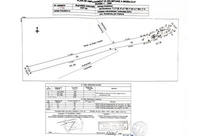 Casă cu 3 camere semidecomandat cu Teren 3197 Mp în Dumbrava - 17