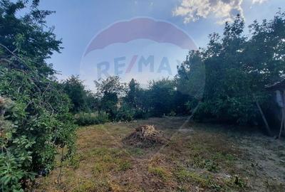 Casă individuală cu 3 camere cu Teren 768 Mp în Garoafa - 4