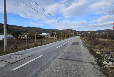 Spațiu comercial, în Podgoria - 11