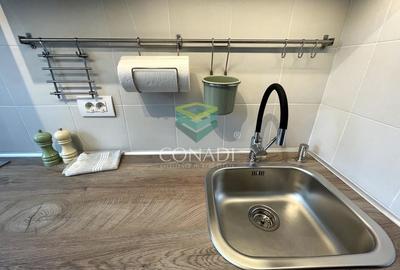 Garsoniera renovata modern str Nada Florilor - Teiul Domnei - 7