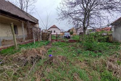 Casă cu Teren 1798 Mp în Iecea Mare - 8