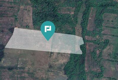 Teren arabil de 11,3 hectare in Bara, Timi? - 1