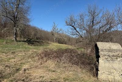 Casă cu 3 camere cu Teren 8000 Mp în Dumbrăvița - 4