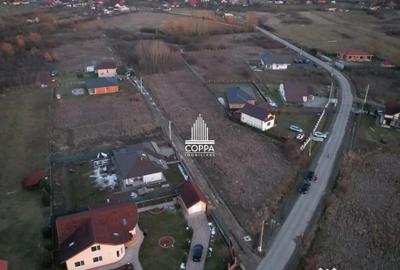 Teren de 2016 mp, în Tăuții-Măgherăuș