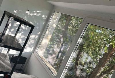 Apartament cu 2 camere semidecomandat, mobilat în Cișmigiu - 4