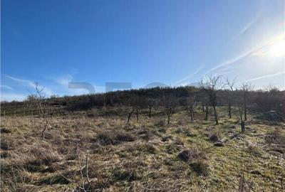 RECO Teren intravilan 2460 mp Santelec - 1