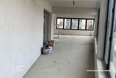 Spațiu comercial, de 220 mp, în Vladimirescu - 4
