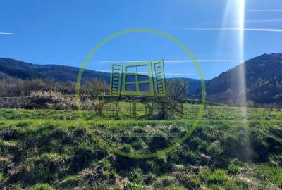 Teren 1500mp extravilan spre vanzare  Poplaca - 2