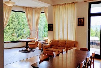 Vila de lux la munte Brasov Zarnesti Plaiul Foii, 2 hectare de teren, jacuzzi, semineu, sauna, Gym Vila de lux la munte Brasov Zarnesti Plaiul Foii, 2 hectare de teren, jacuzzi, semineu, sauna, Gym - 5