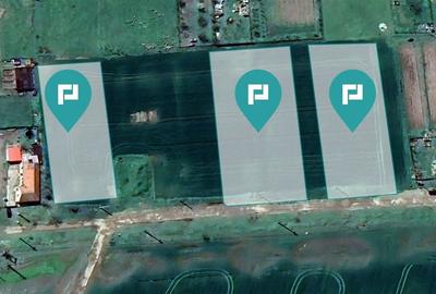 Parcele de teren – Comuna Sâmbăteni, jud. Arad - 1