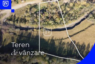 Teren Construcții extravilan de 5000 mp, în Vama