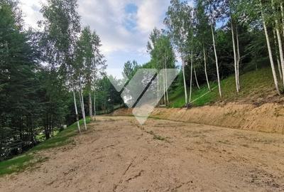 Teren Construcții intravilan de 1500 mp, în Cisnădioara