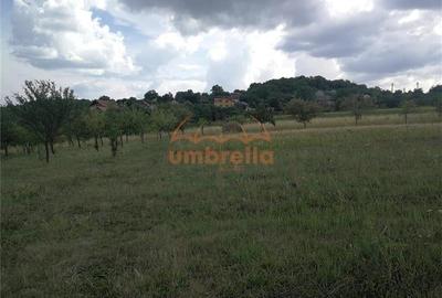 De vanzare teren 1.800/? intrav. in Deus- Chinteni ! - 7