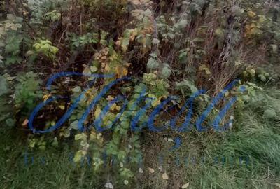 Casă cu 2 camere cu Teren 792 Mp în Florești - 5