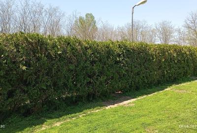 Casa individuala Ogrezeni - 4