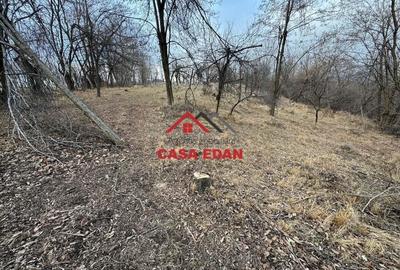 Casă cu Teren 3074 Mp în Cornu - 3