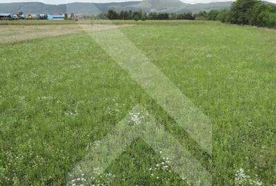 Teren intravilan pentru casa de vacanta - PRAHOVA (Banesti) - 4