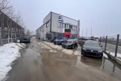 Hala cu showroom Centura Mogosoaia