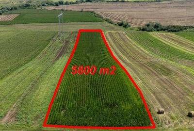 Teren de 5800 mp, în Uioara de Sus