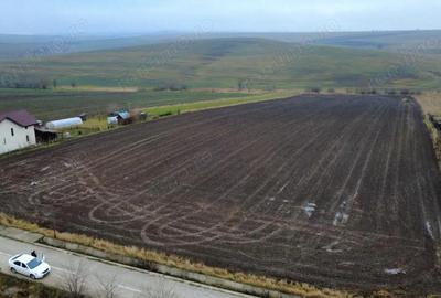 Teren 8.400 mp Negre?ti ideal gospodarie, ferma, natura ?i lini?te - 5
