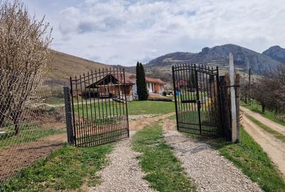 Teren de 1000 mp, în Vălișoara - 2
